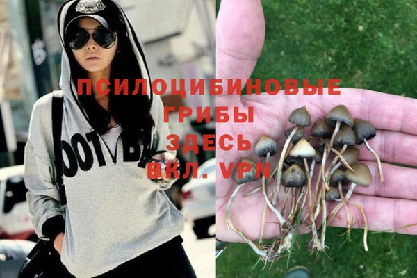 прущие крисы Арсеньев